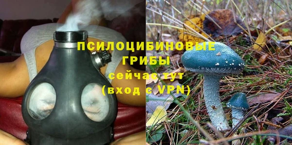 прущие крисы Гусев