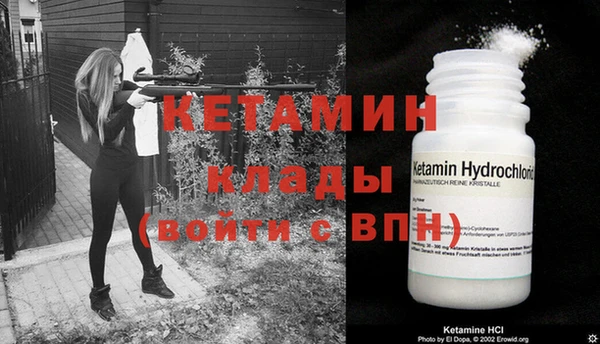 ГАЛЛЮЦИНОГЕННЫЕ ГРИБЫ Гусь-Хрустальный