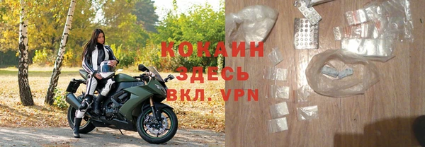 ГАЛЛЮЦИНОГЕННЫЕ ГРИБЫ Гусь-Хрустальный