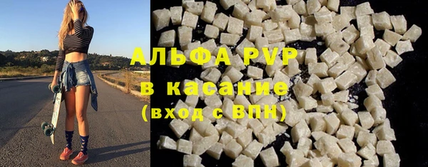 прущие крисы Гусев