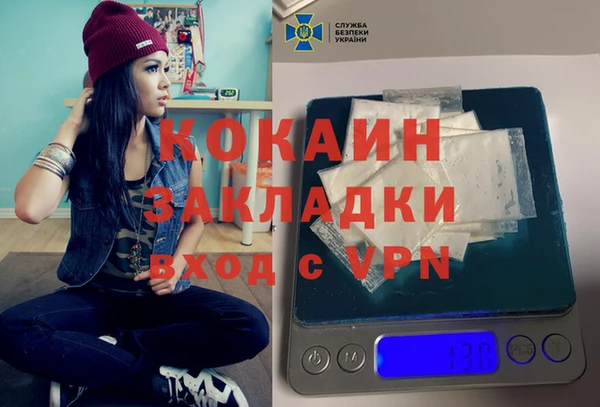 ГАЛЛЮЦИНОГЕННЫЕ ГРИБЫ Гусь-Хрустальный