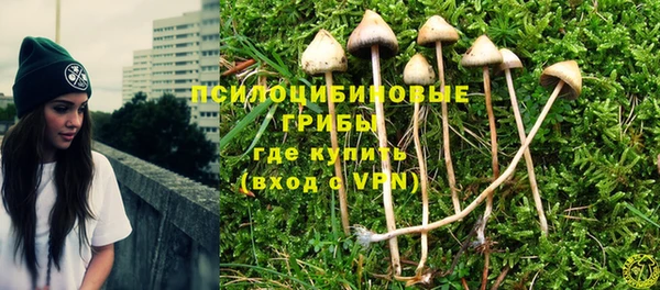 прущие крисы Гусев