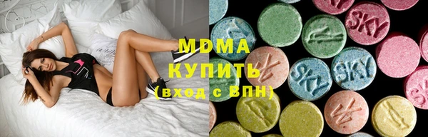 ГАЛЛЮЦИНОГЕННЫЕ ГРИБЫ Гусь-Хрустальный