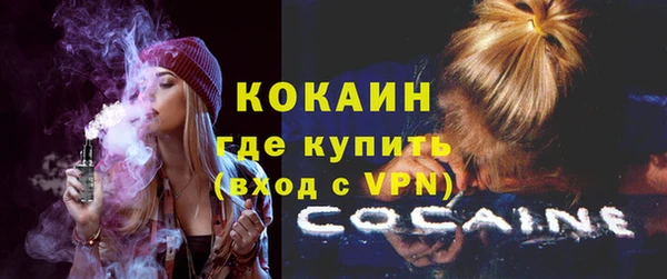 прущие крисы Гусев