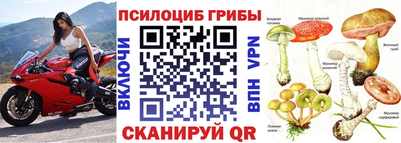 Псилоцибиновые грибы Psilocybe  Октябрьский 